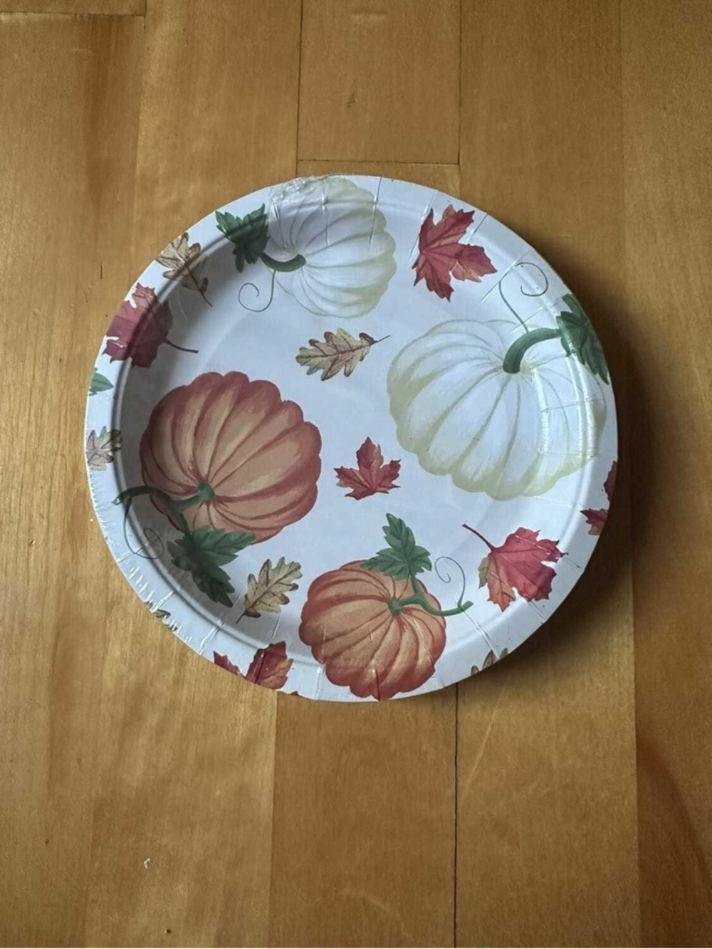 Autumn Pumpkin 7” Paper Plate - Fall Design paper plates (x5)
